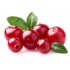 Cranberry – Κράνμπερι