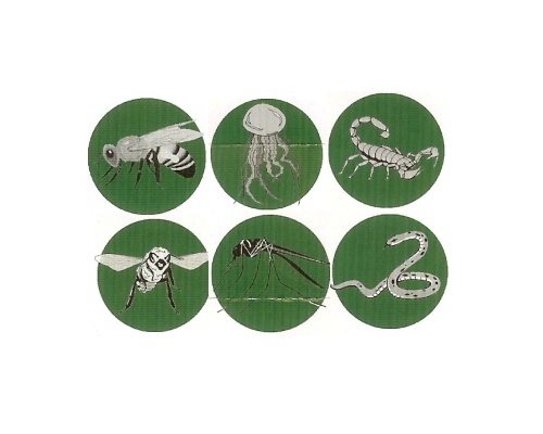 Για τσιμπίματα από έντομα, τσούχτρες, σκορπιούς, δάγκωμα φιδιών