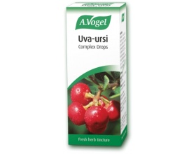 Uva-ursi – Φυτικό σκεύασμα για την αντιμετώπιση των ουρολοιμώξεων